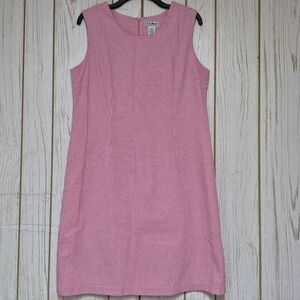 L.L. Bean Pink Gingham A-Line Princess Seam Lined Midi Dress Sleeveless Size 14